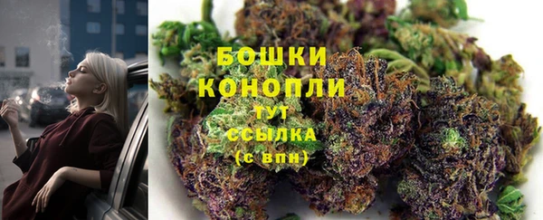 индика Братск