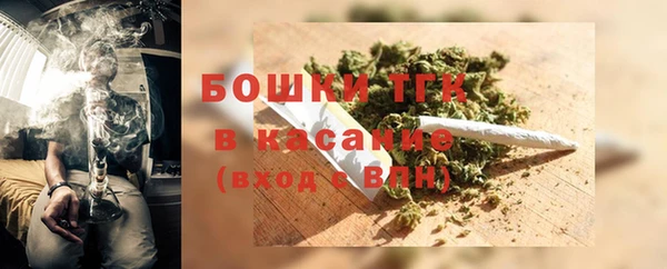 сатива Абаза